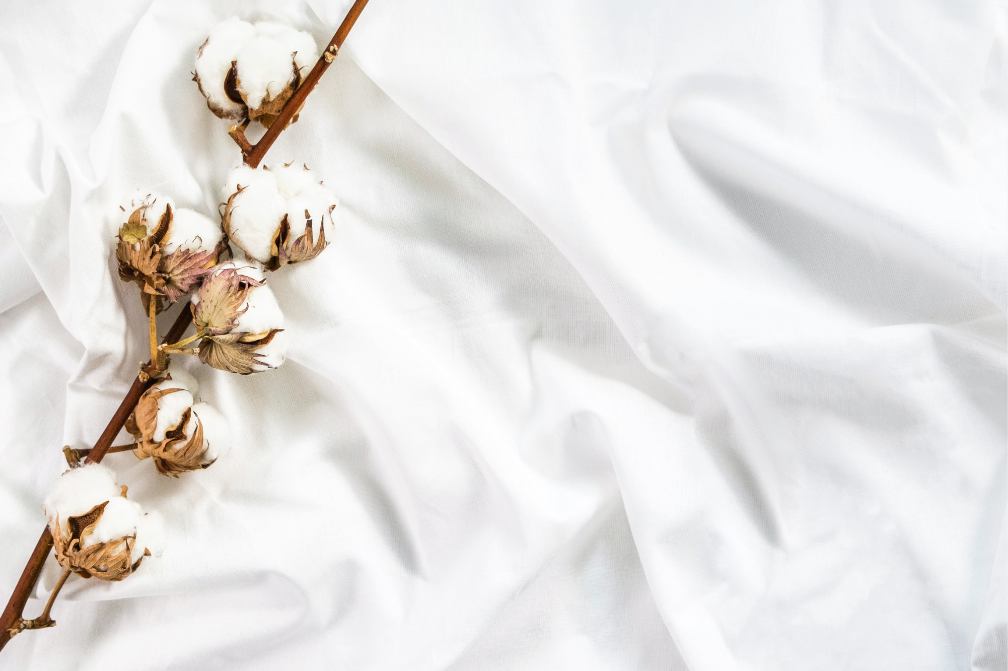 5 reasons it's good to sleep in cotton – TBCo