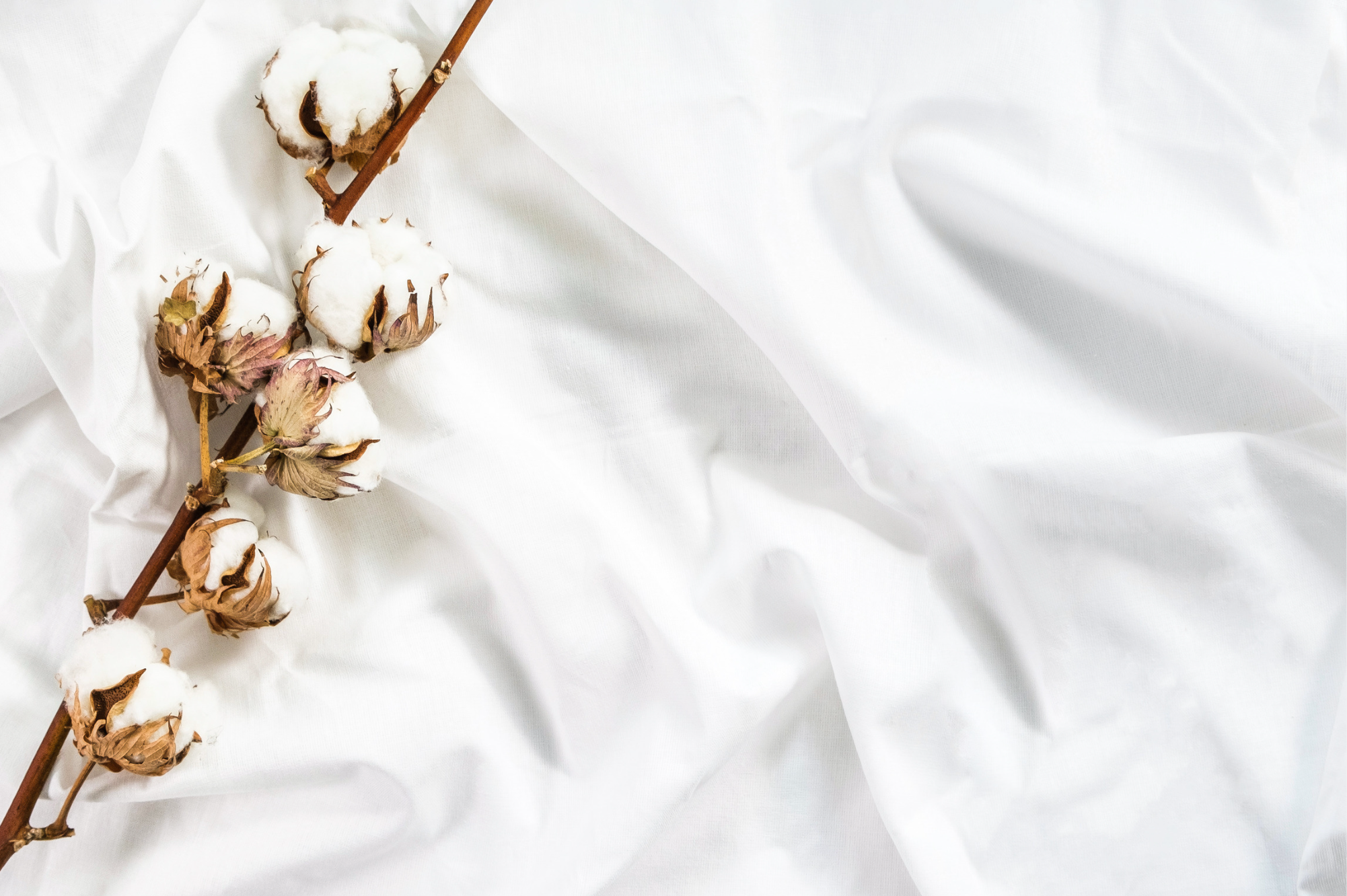 Why Cotton is Good for Sleep