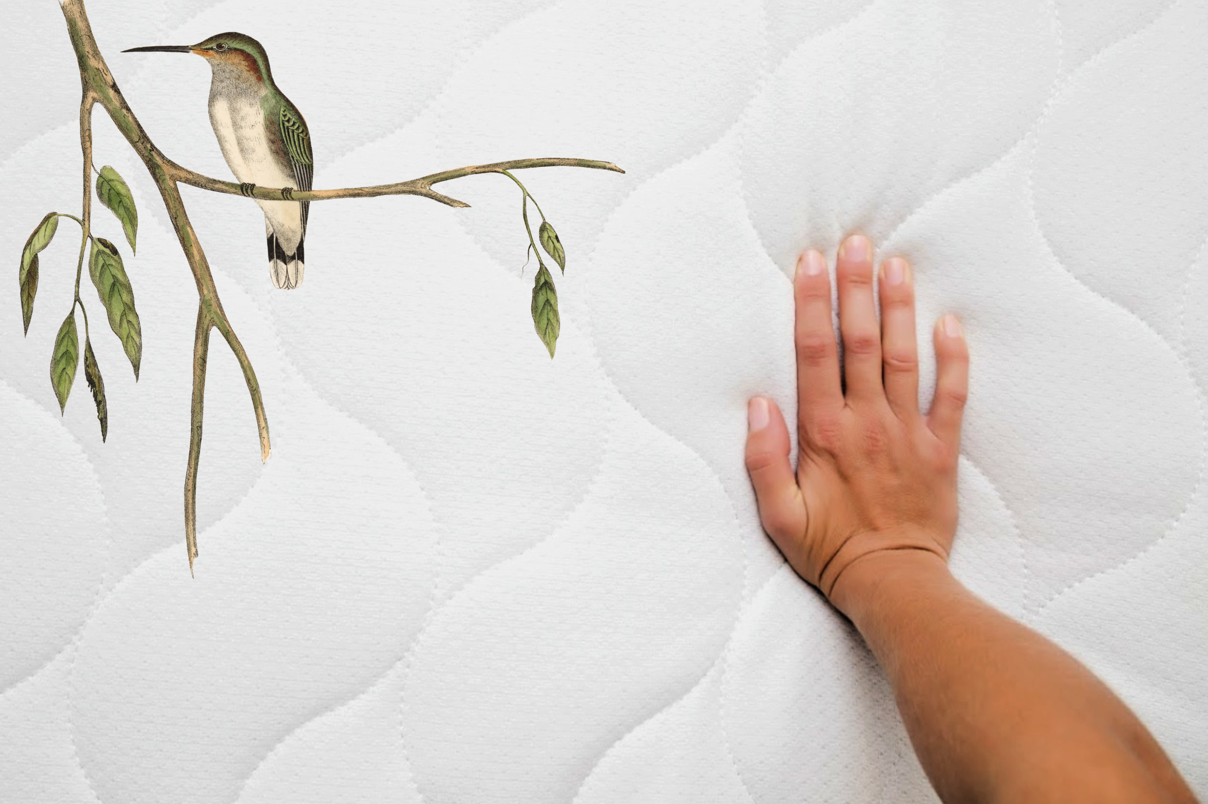 How to Refresh your Mattress Naturally