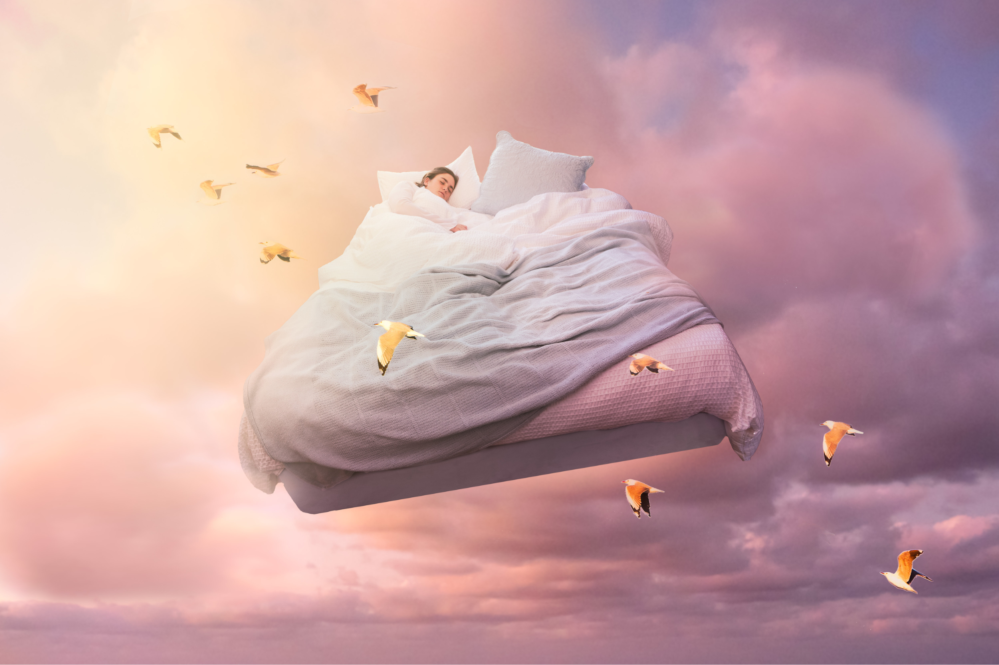 10 Common Dreams – beddie.com.au