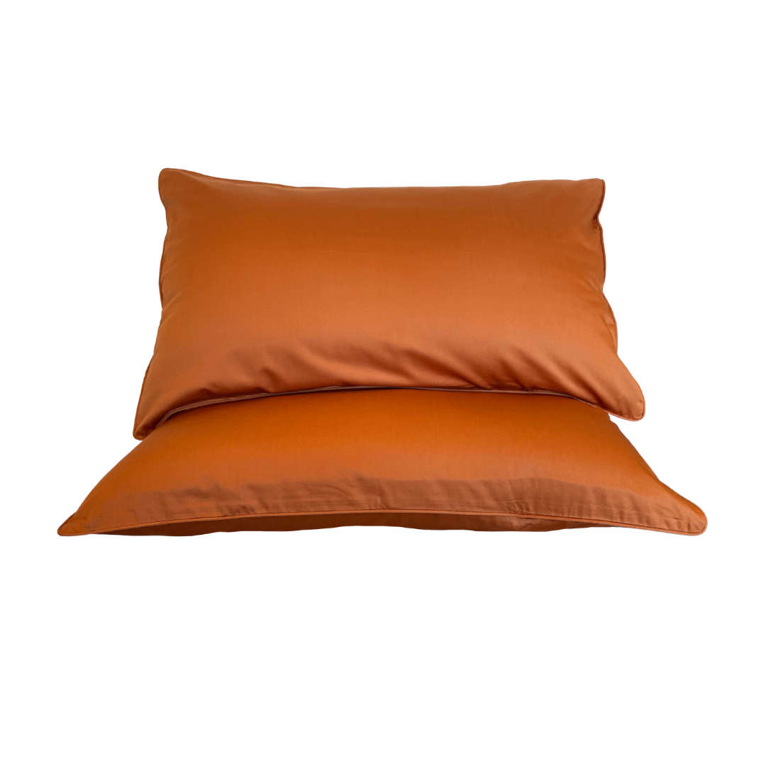 butterscotch standard pillowcase x 2